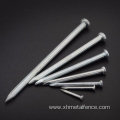 Hot Dip Galvanized Hardened Steel Concrete Nails